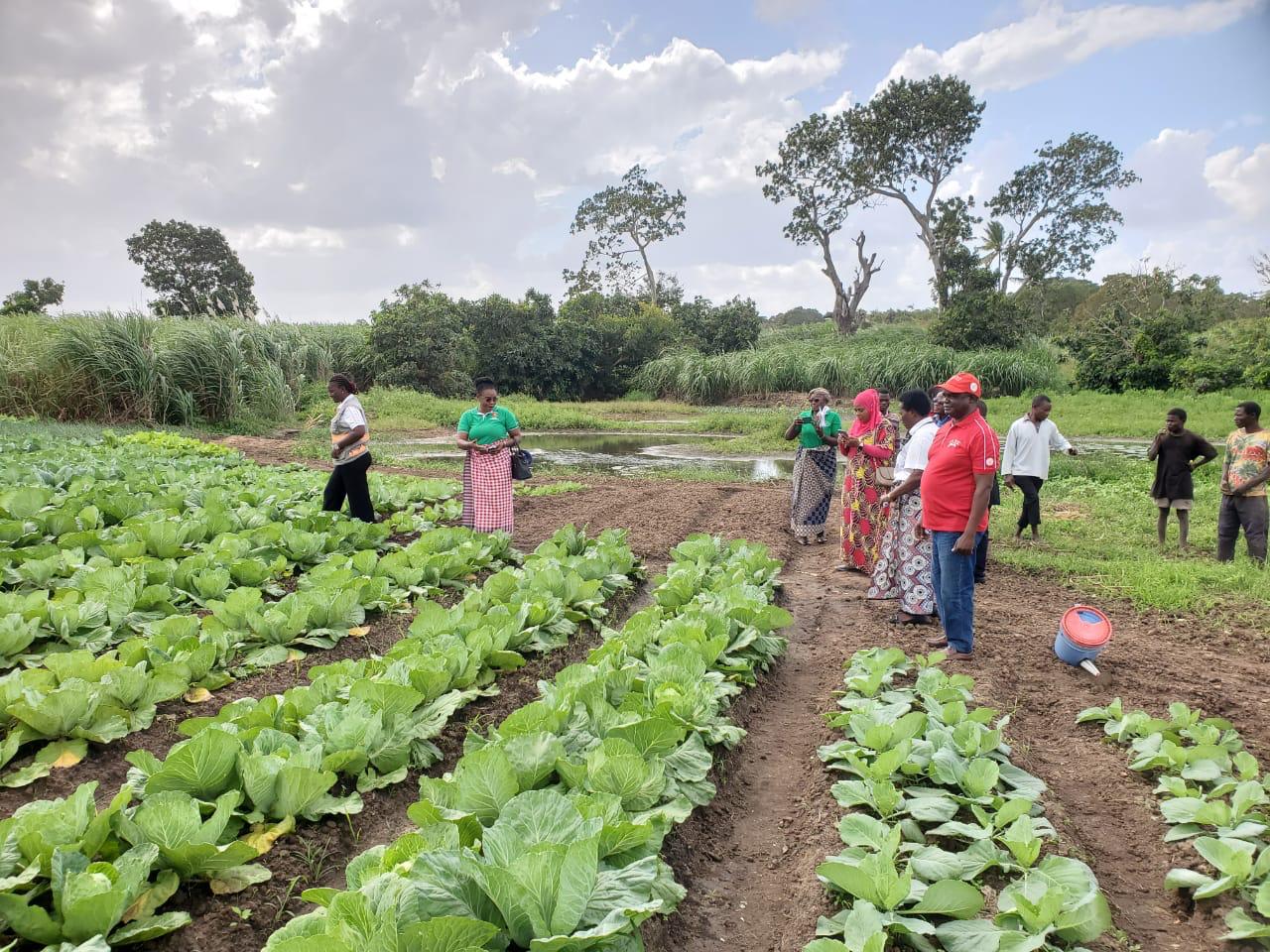 Agricultura 1
